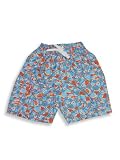 Wes and Willy - Toddler Boys Swimsuit, Blue, Orange, White