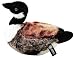 AKC Classic Canadian Goose, Large