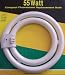 6-Pack 55 Watt Compact Fluorescent Replacement Circular Bulb Lasts 10,000 Hours 3500K 8-1/2