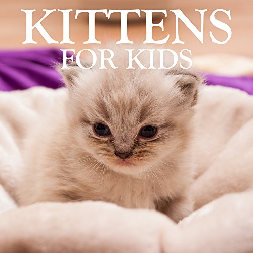 Children's Books: Kittens Books for Kids [cat picture book], by Kevin Smith