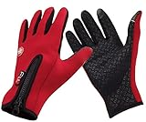 クリエーター情報なし