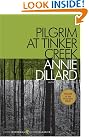 Pilgrim at Tinker...
