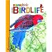 Australian Birdlife (Nature Kids)