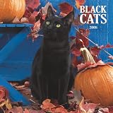 Black Cats 2008 Calendar