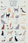 Favorite Cat Breeds Poster (Posters)