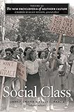 The New Encyclopedia of Southern Culture: Volume 20: Social Class