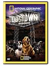 National Geographic: Dogtown...