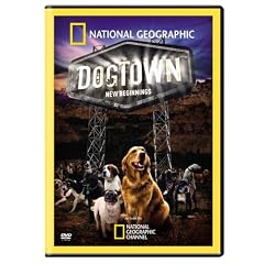 National Geographic: Dogtown - New Beginnings