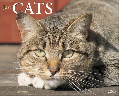 Just Cats Calendar