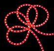 18' Festive Red Indoor/Outdoor Christmas Rope Lights