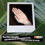 The Palm Sampler