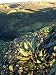 Desert Vizcaino Biosphere Reserve, Mexico Photographic Poster Print by Patricio Roble...