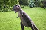 Large scale T REX statue dinosaur garden sculpture New