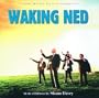 The parting glass [Waking Ned]