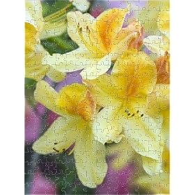 Jigsaw Puzzle of AZALEA GOLDEN FLARE from Garden World Images
