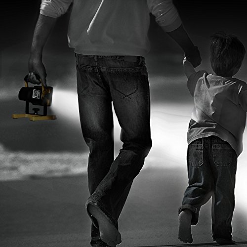 Imagen 4 de Aglaia 0