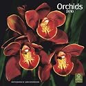 Orchids 2010 Square Wall (Multilingual Edition)