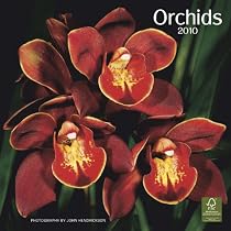 Orchids 2010 Square Wall (Multilingual Edition)