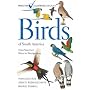 Birds of South America: Non-Passerines: Rheas to Woodpeckers (Princeton Illustrated Checklists)