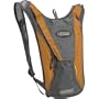 CamelBak HydroBak® (Discontinued Colors) (Sunset Orange)