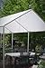 2 Pack Dry Top 20X30WHITE Heavy Duty 10 Mil Industrial Polyethylene White Tarp 20' x 30' (320305)