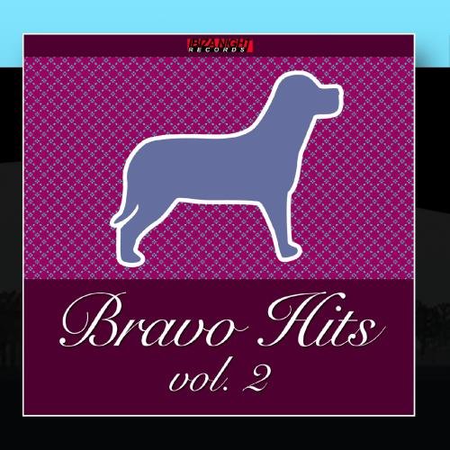 Ibiza Night Records Bravo Hits Vol.2