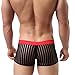 Astarin Mens Sheer Mesh Bikini Boxer Briefs Underwear Shorts