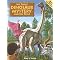 Creationist Dinosaur Books for Children & Adults