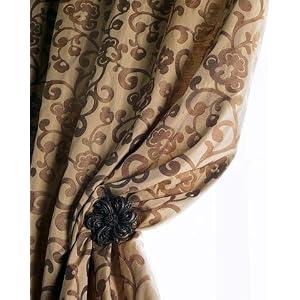 Dian Austin Couture Home Primavera 108"L Curtain