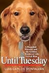 Until Tuesday: A Wounded Warrior and...