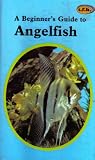 Beginners Guide to Angelfish