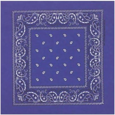 One Dozen Double Sided Royal Blue Paisley Bandannas