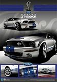 Produkt-Bild: Empire 349217 Autos - Mustang GT500 KR - 3D Poster Lentikular - Gr&ouml;&szlig;e 47 x 67 cm