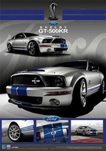 Empire 349217 Autos - Mustang GT500 KR - 3D Poster Lentikular - Gr&ouml;&szlig;e 47 x 67 cm