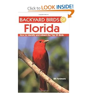 Backyard Birds Florida Identify Attract