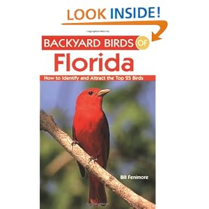 Backyard Birds Pennsylvania Identify Attract