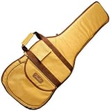 Fender Deluxe Tweed Gig Bag