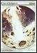 Magic: the Gathering - Day of Judgment - Foil Textless Player Rewards - Player Rewards Promos