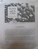 Guava and Its Uses: Home Economics Circular #319 (College of Agriculture)