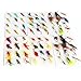 Sougayilang Fly Fishing Flies Mix Designs Fishing Lure Pack of 72pcs