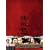 �A�錍 �m�[�J�b�g���S�� [DVD]