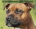 Just Staffordshire Bull Terriers 2010 Calendar