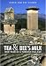 Tea and Bee's Milk: Our Year in a Turkish Village