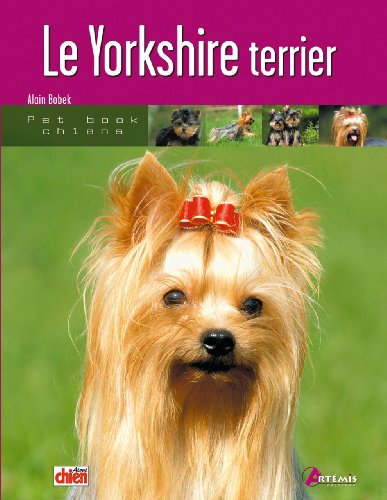 Download Le Yorkshire terrier Download Le Yorkshire terrier