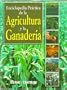 Enciclopedia Practica De LA Agricultura Y LA Ganaderia / Practical Encyclopedia of Agriculture and Husbandry (Spanish Edition)