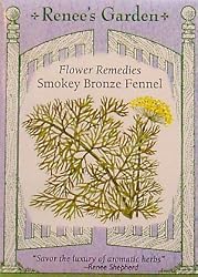 Fennel Smokey Bronze Seeds 75 Seeds