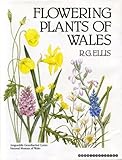Flowering plants of Wales