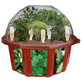 Culinary Herb Garden Growing Kit by DuneCraft