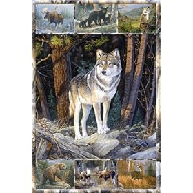 HUGE LAMINATED / ENCAPSULATED Amazing Animals Wildlife Nature American Wildlife Multi Pic POSTER measures 36 x 24 inches (91.5 x 61cm)