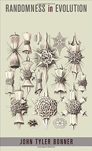 randomness in evolution